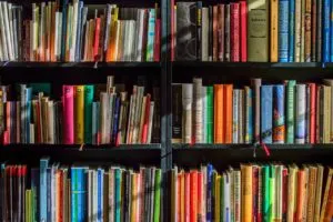 Bibliothèque et promotion de la culture